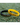 Vitesse-armband